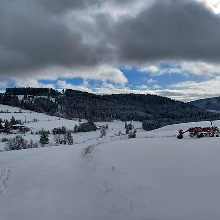 Schwarzwaldblick Leilighet Titisee-Neustadt Eksteriør bilde